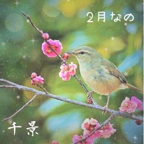 ちかげ【熟女コース】