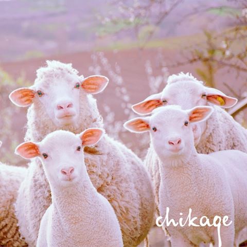 ちかげ【熟女コース】