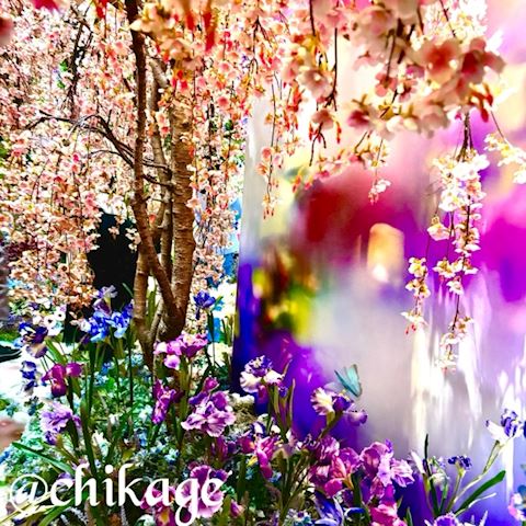 ちかげ【熟女コース】