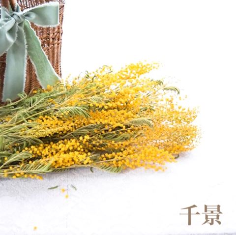 ちかげ【熟女コース】