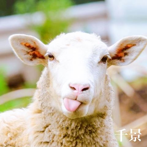 ちかげ【熟女コース】