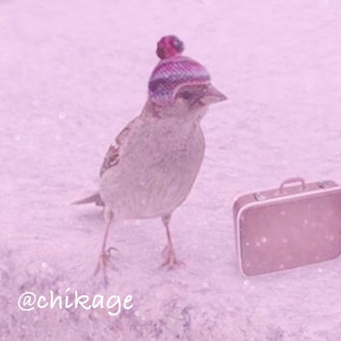 ちかげ【熟女コース】