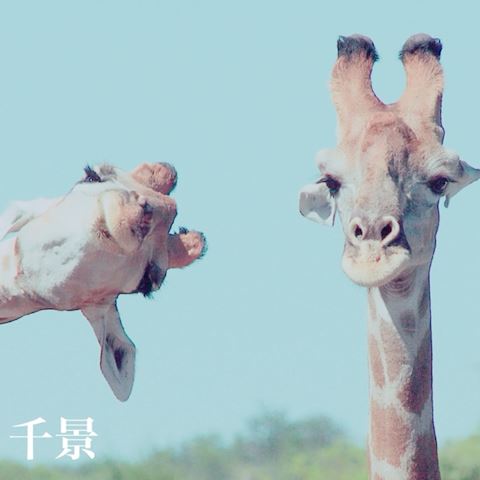 ちかげ【熟女コース】