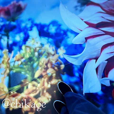 ちかげ【熟女コース】