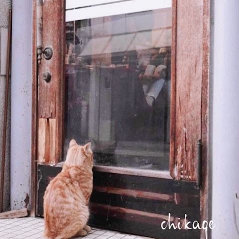 ちかげ【熟女コース】