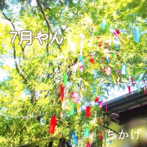 ちかげ【熟女コース】