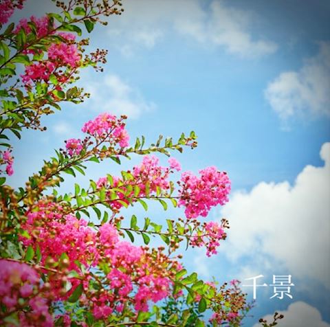 ちかげ【熟女コース】