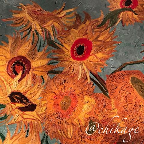 ちかげ【熟女コース】