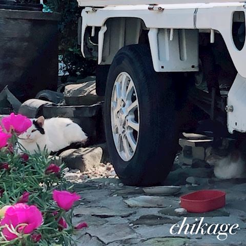 ちかげ【熟女コース】