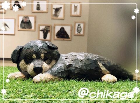 ちかげ【熟女コース】