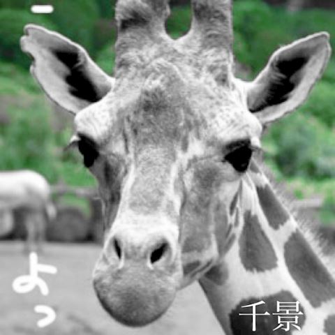 ちかげ【熟女コース】