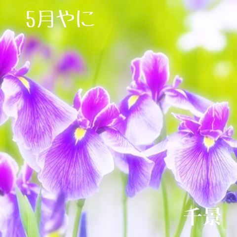 ちかげ【熟女コース】
