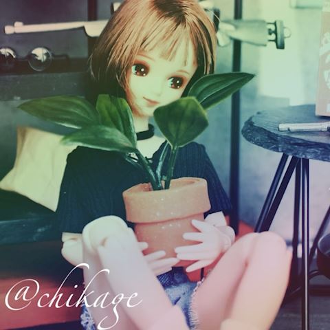 ちかげ【熟女コース】