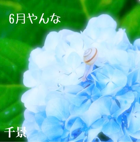 ちかげ【熟女コース】