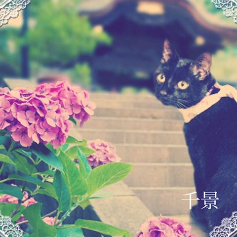 ちかげ【熟女コース】