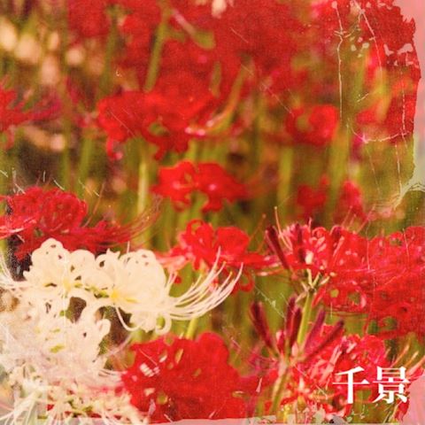 ちかげ【熟女コース】