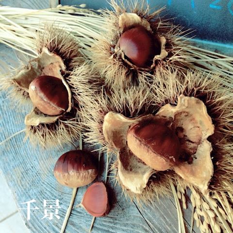 ちかげ【熟女コース】