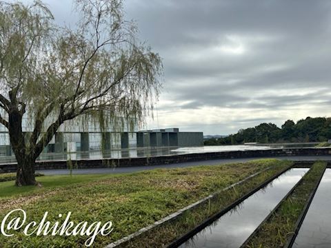 ちかげ【熟女コース】