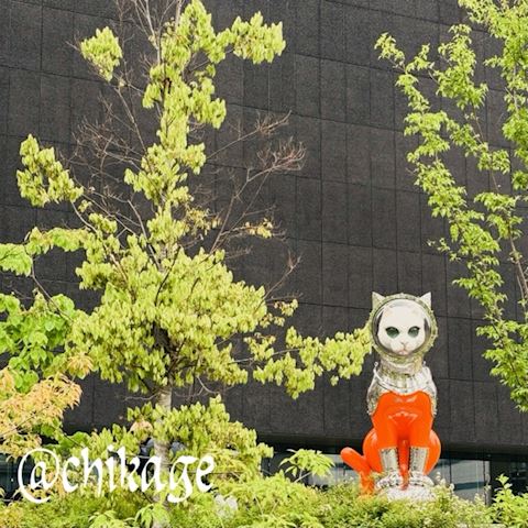 ちかげ【熟女コース】