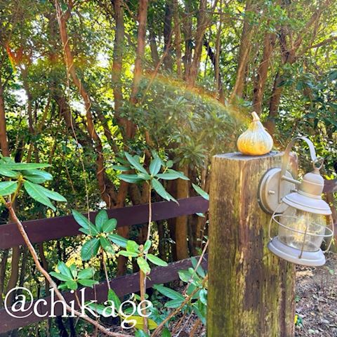 ちかげ【熟女コース】