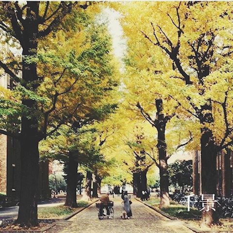 ちかげ【熟女コース】