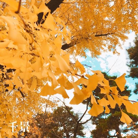 ちかげ【熟女コース】