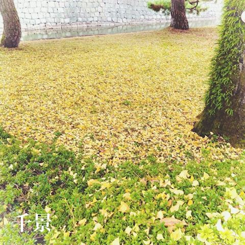 ちかげ【熟女コース】