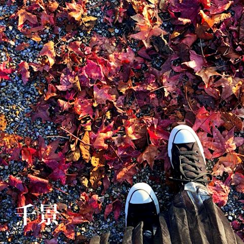 オハヨゴザイマス🐼