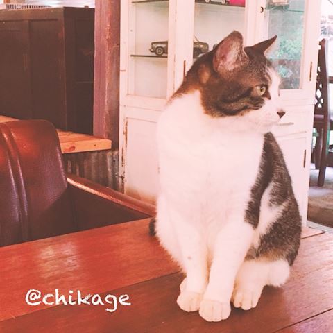 ちかげ【熟女コース】