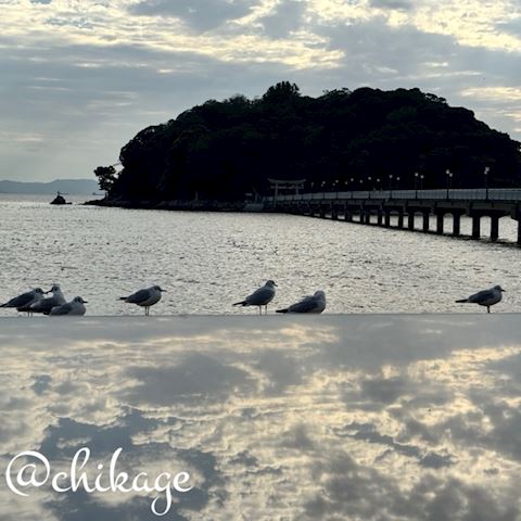 ちかげ【熟女コース】