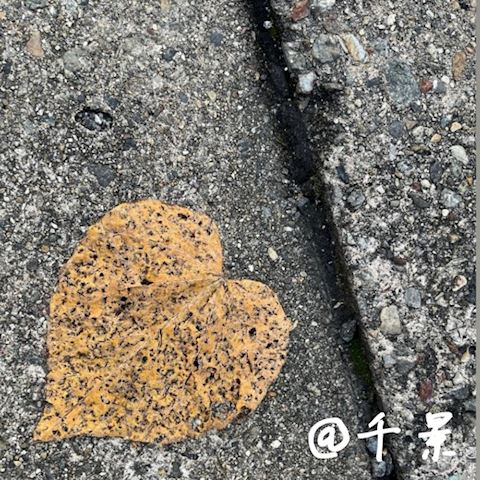 ちかげ【熟女コース】