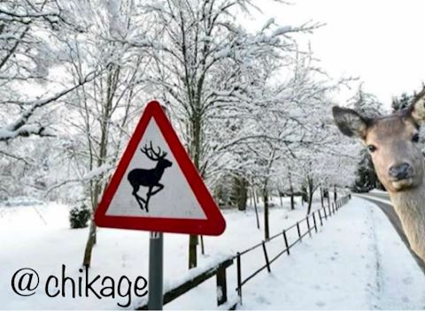 ちかげ【熟女コース】