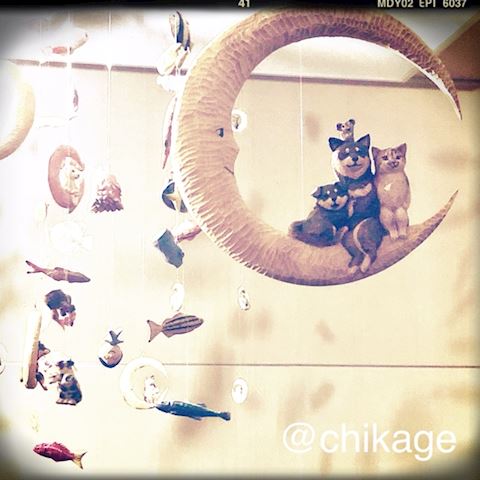 コンバンハ⛸️ ちかげ【熟女コ...（47）