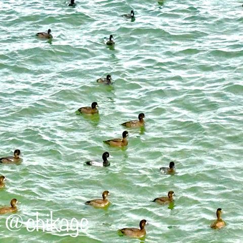 オハヨゴザイマス☕️