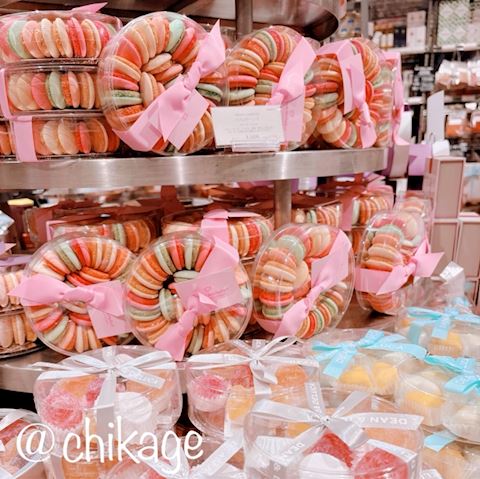 コンバンハ ちかげ【熟女コ...（47）