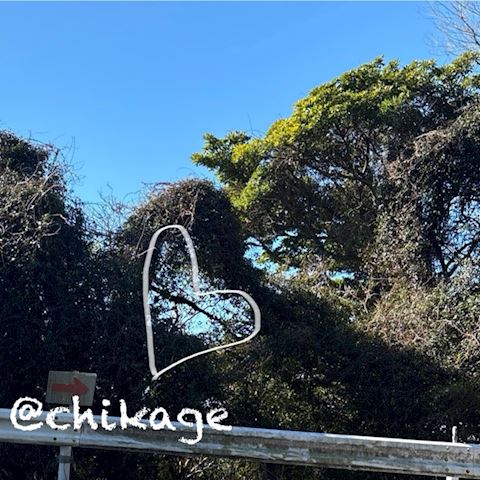 ちかげ【熟女コース】