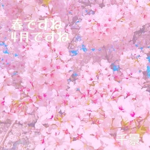 4月です🌸
