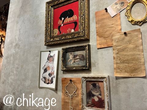 コンバンハ ちかげ【熟女コ...（47）