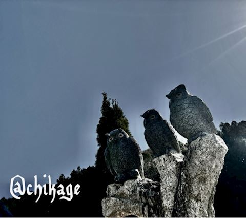 ちかげ【熟女コース】