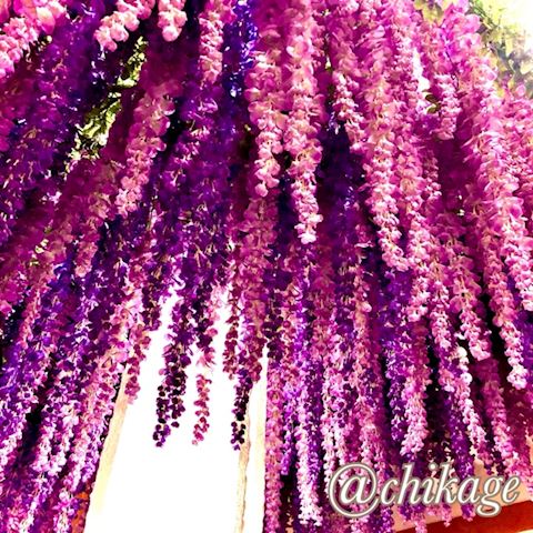 ちかげ【熟女コース】