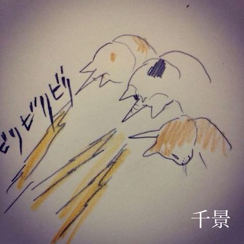 コンバンハ🌬️