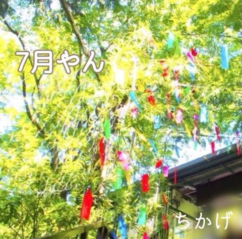 7月です ちかげ【熟女コ...（47）