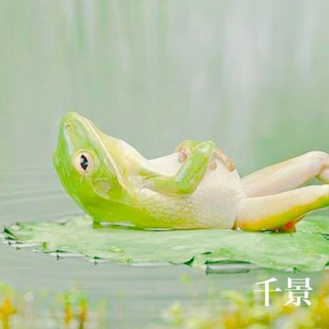 ちかげ【熟女コース】