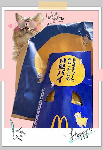 *･ﾟ秋ですね りりあ【マダム...（35）