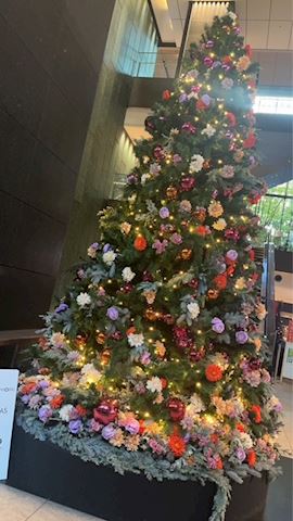 みこ【マダムコース】