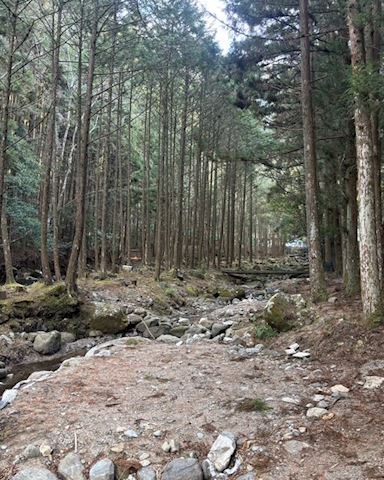 みこ【マダムコース】