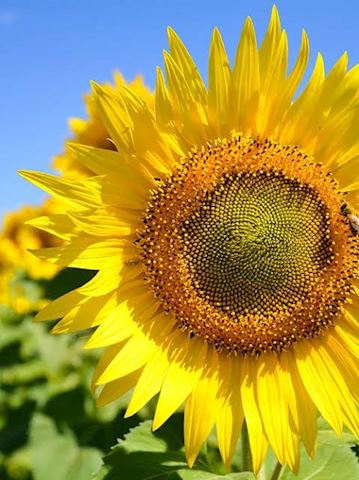 曇りのち晴れ…♡ みこ【マダムコ...（38）