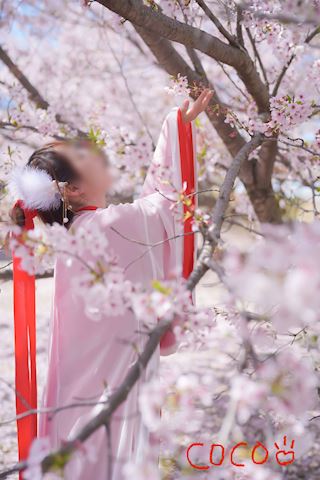 ここ【若妻コース】