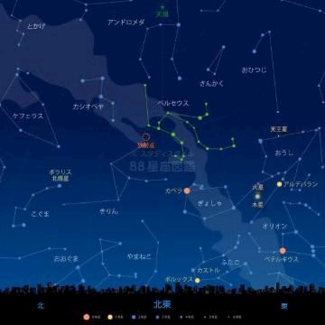 こゆき【マダムコース】