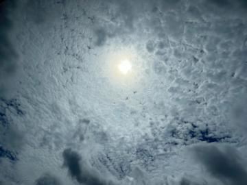 こゆき【マダムコース】